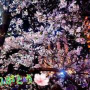 ヒメ日記 2026/04/05 00:10 投稿 マミ 人妻日記