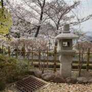 えみり 6日出勤致します！ 熟女の風俗最終章 町田店