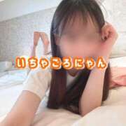 ヒメ日記 2025/09/17 12:29 投稿 葵りあ ウルトラハピネス