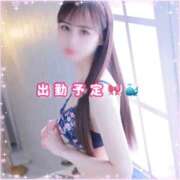 ヒメ日記 2025/11/12 14:49 投稿 葵りあ ウルトラハピネス