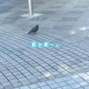 ヒメ日記 2025/11/16 11:39 投稿 葵りあ ウルトラハピネス