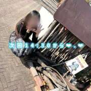 ヒメ日記 2025/11/27 14:39 投稿 葵りあ ウルトラハピネス