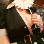 ヒメ日記 2025/04/28 11:18 投稿 愛菜みすず シロガネーゼ