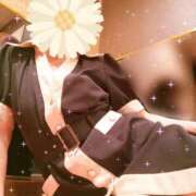 ヒメ日記 2025/10/07 10:27 投稿 愛菜みすず シロガネーゼ