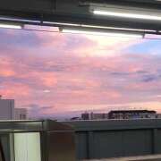 ヒメ日記 2025/02/16 14:56 投稿 れんか クラブリリー