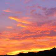 ヒメ日記 2025/10/17 14:24 投稿 れんか クラブリリー