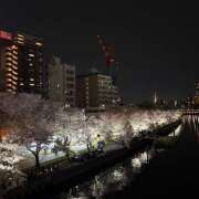 ヒメ日記 2026/04/12 14:12 投稿 れんか クラブリリー