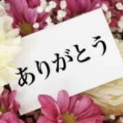 ヒメ日記 2023/11/27 11:48 投稿 完熟 わかな ハナミズキ