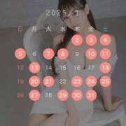 ヒメ日記 2024/12/19 12:34 投稿 音無アリス エルドール