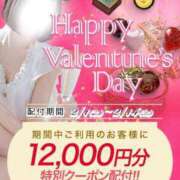 ヒメ日記 2025/02/05 18:19 投稿 クレア Celeb Garden(セレブガーデン)