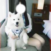 ヒメ日記 2025/11/14 22:42 投稿 ミシン マリン土浦本店