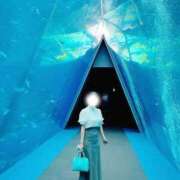 ヒメ日記 2025/12/20 21:51 投稿 ミシン マリン土浦本店