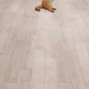 ヒメ日記 2025/12/23 15:51 投稿 ミシン マリン土浦本店