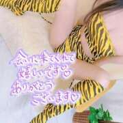 ヒメ日記 2026/02/03 17:04 投稿 さやか LOVE CLOVER（らぶくろーばー）