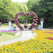 ヒメ日記 2025/05/06 09:14 投稿 かすみ 梅田アバンチュール