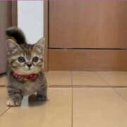 ヒメ日記 2025/05/09 09:30 投稿 かすみ 梅田アバンチュール