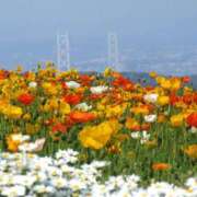 ヒメ日記 2025/05/14 09:01 投稿 かすみ 梅田アバンチュール