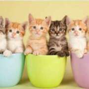 ヒメ日記 2025/05/21 08:56 投稿 かすみ 梅田アバンチュール