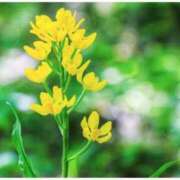 ヒメ日記 2025/05/27 08:38 投稿 かすみ 梅田アバンチュール