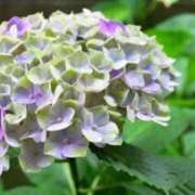 ヒメ日記 2025/06/04 08:46 投稿 かすみ 梅田アバンチュール