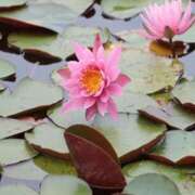 ヒメ日記 2025/06/14 08:57 投稿 かすみ 梅田アバンチュール