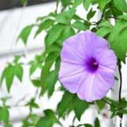 ヒメ日記 2025/07/02 08:57 投稿 かすみ 梅田アバンチュール