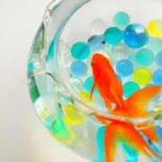 ヒメ日記 2025/07/11 08:38 投稿 かすみ 梅田アバンチュール