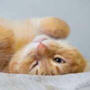 ヒメ日記 2025/08/08 09:09 投稿 かすみ 梅田アバンチュール