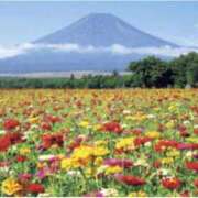 ヒメ日記 2025/08/09 08:48 投稿 かすみ 梅田アバンチュール