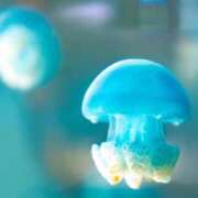 ヒメ日記 2025/08/30 08:42 投稿 かすみ 梅田アバンチュール