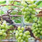 ヒメ日記 2025/09/05 09:23 投稿 かすみ 梅田アバンチュール