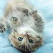 ヒメ日記 2025/09/06 09:07 投稿 かすみ 梅田アバンチュール