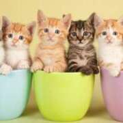 ヒメ日記 2025/09/12 09:16 投稿 かすみ 梅田アバンチュール