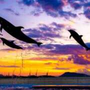 ヒメ日記 2025/09/17 08:55 投稿 かすみ 梅田アバンチュール