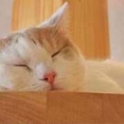 ヒメ日記 2025/10/03 09:02 投稿 かすみ 梅田アバンチュール