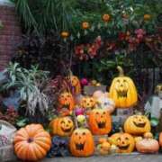 ヒメ日記 2025/10/28 08:55 投稿 かすみ 梅田アバンチュール