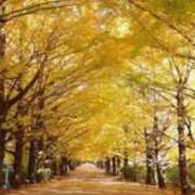 ヒメ日記 2025/11/19 09:12 投稿 かすみ 梅田アバンチュール