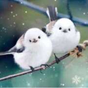 ヒメ日記 2026/01/14 09:42 投稿 かすみ 梅田アバンチュール