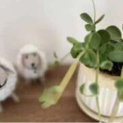 かすみ お邪魔します♡ 梅田アバンチュール