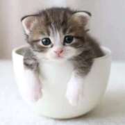 ヒメ日記 2026/01/28 10:07 投稿 かすみ 梅田アバンチュール