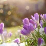 ヒメ日記 2026/02/28 09:42 投稿 かすみ 梅田アバンチュール