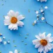 ヒメ日記 2026/03/04 08:52 投稿 かすみ 梅田アバンチュール