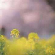 ヒメ日記 2026/03/21 09:12 投稿 かすみ 梅田アバンチュール