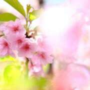 ヒメ日記 2026/03/27 08:52 投稿 かすみ 梅田アバンチュール