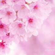 ヒメ日記 2026/03/28 09:32 投稿 かすみ 梅田アバンチュール