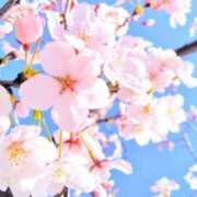 ヒメ日記 2026/04/01 09:12 投稿 かすみ 梅田アバンチュール