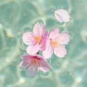 ヒメ日記 2026/04/10 09:19 投稿 かすみ 梅田アバンチュール