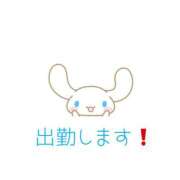 ヒメ日記 2025/04/22 17:07 投稿 京子(きょうこ) 高知デリヘル倶楽部 人妻熟女専門店