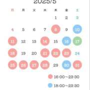 ヒメ日記 2025/05/17 23:10 投稿 ゆき ナイスディ