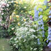 ヒメ日記 2025/04/06 11:40 投稿 蒼井 おふくろ